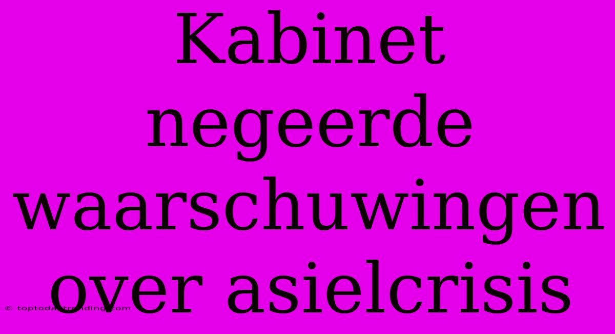 Kabinet Negeerde Waarschuwingen Over Asielcrisis