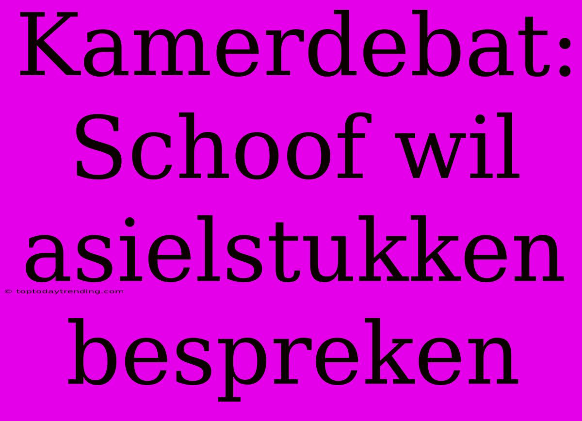 Kamerdebat: Schoof Wil Asielstukken Bespreken