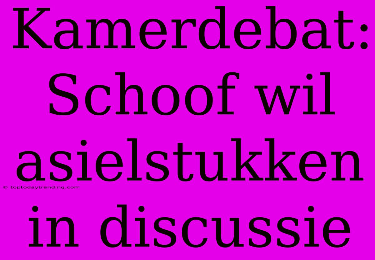 Kamerdebat: Schoof Wil Asielstukken In Discussie