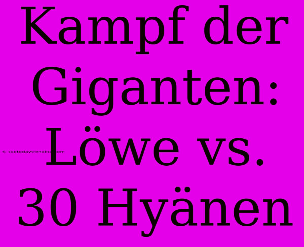 Kampf Der Giganten: Löwe Vs. 30 Hyänen