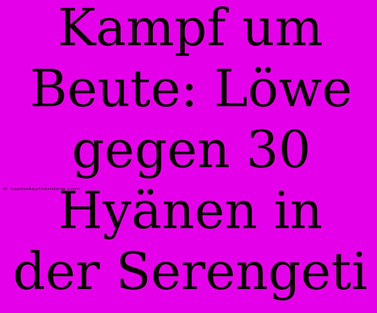 Kampf Um Beute: Löwe Gegen 30 Hyänen In Der Serengeti