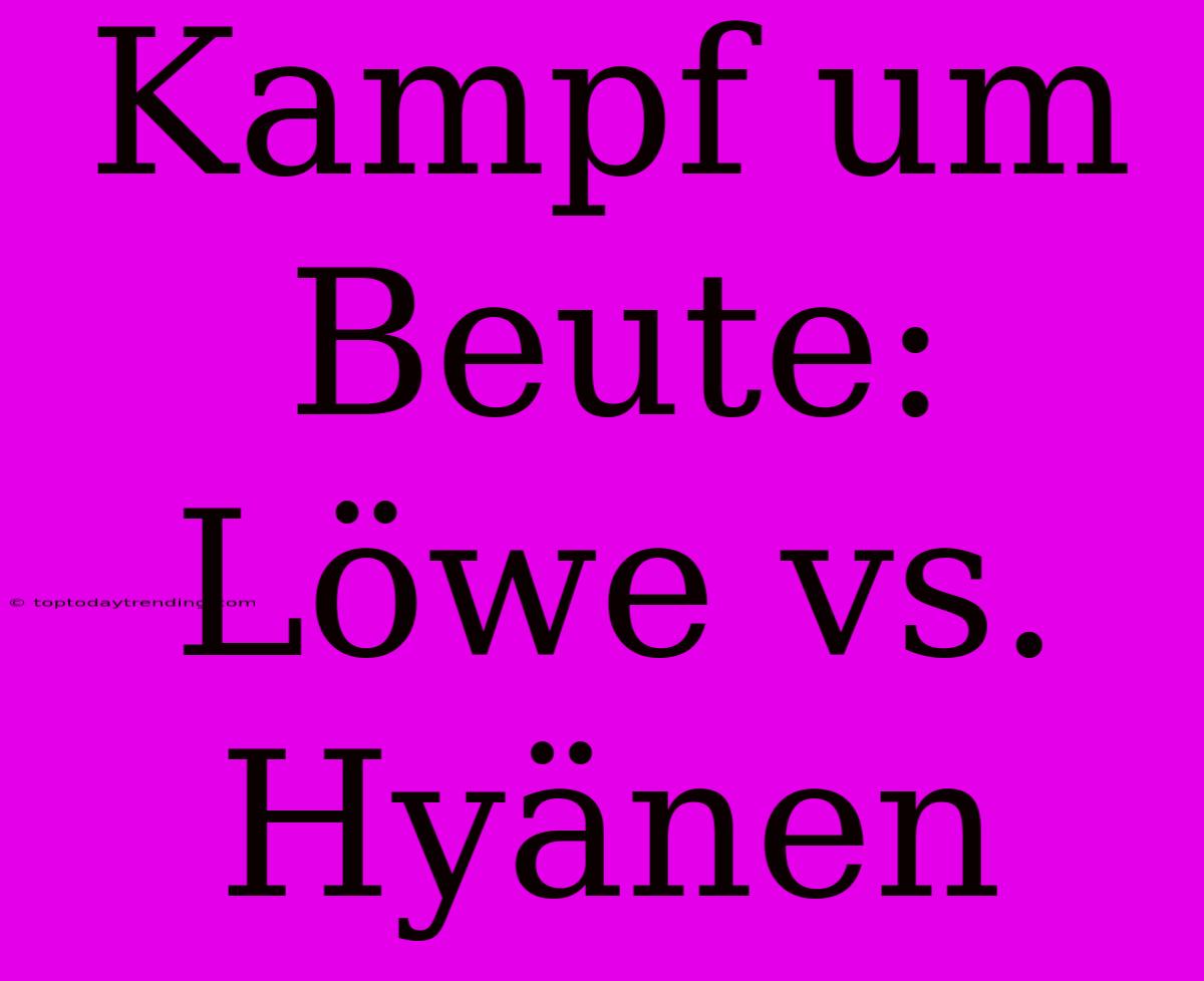 Kampf Um Beute: Löwe Vs. Hyänen