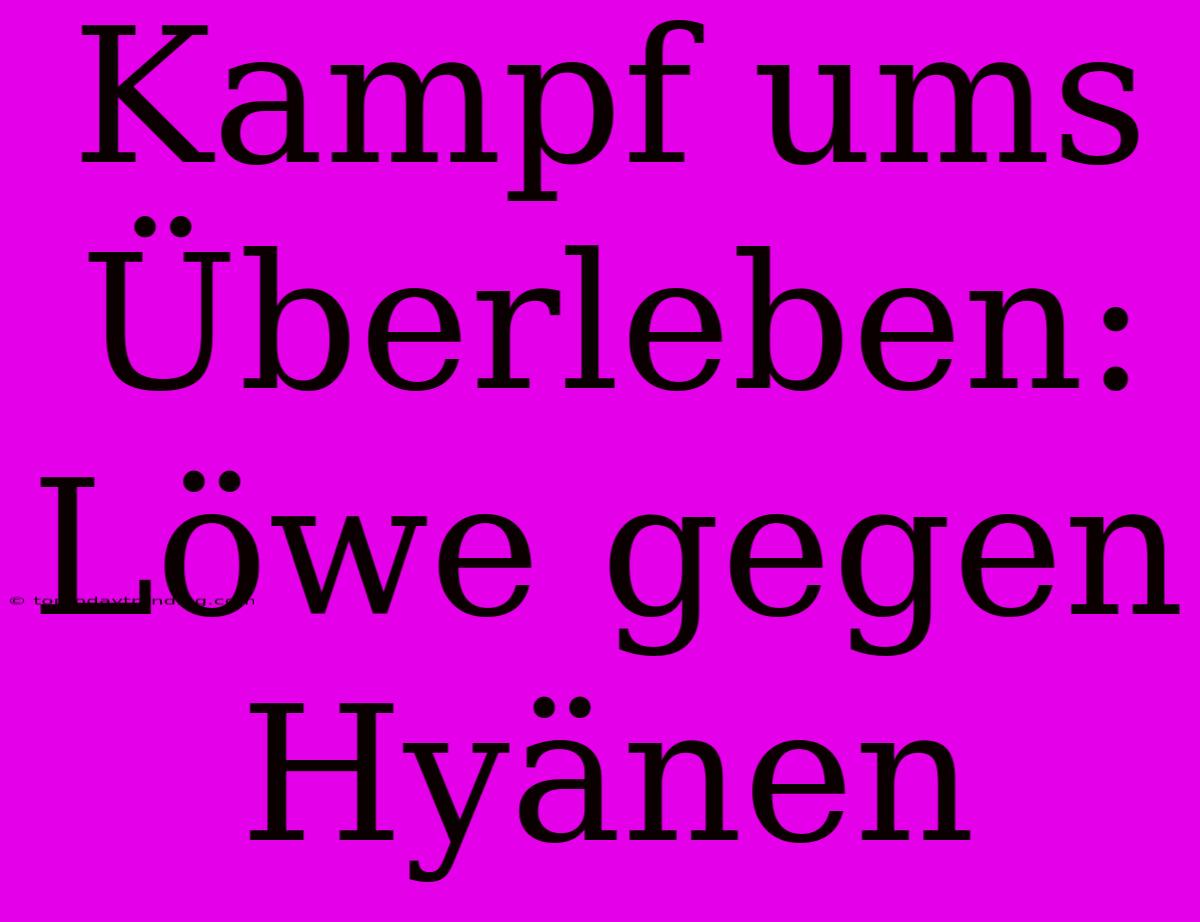 Kampf Ums Überleben: Löwe Gegen Hyänen