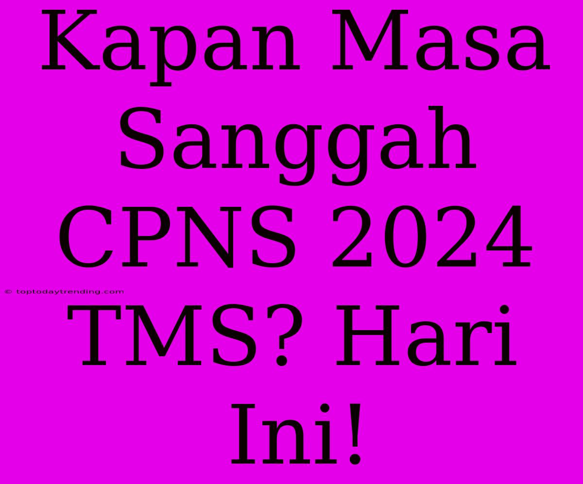 Kapan Masa Sanggah CPNS 2024 TMS? Hari Ini!