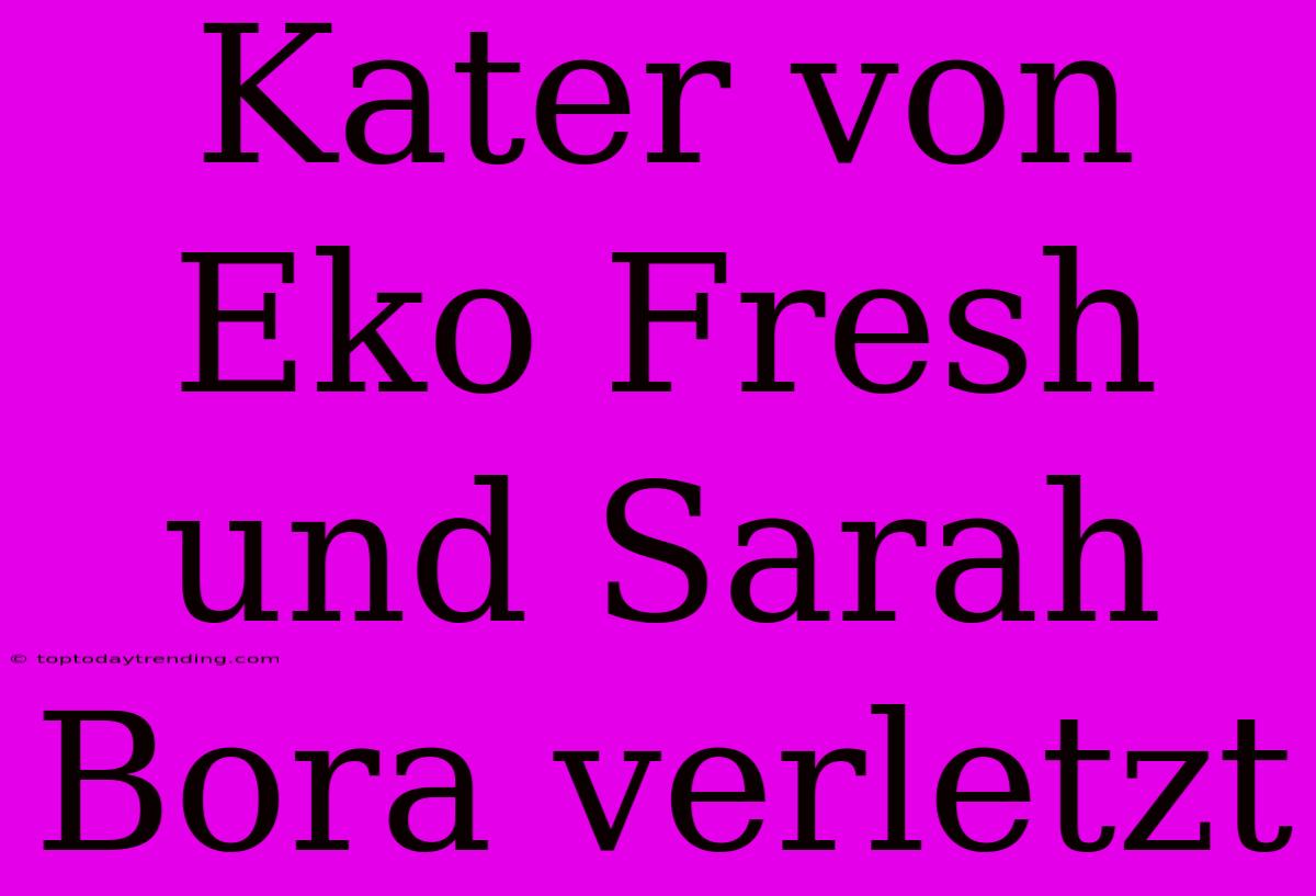 Kater Von Eko Fresh Und Sarah Bora Verletzt