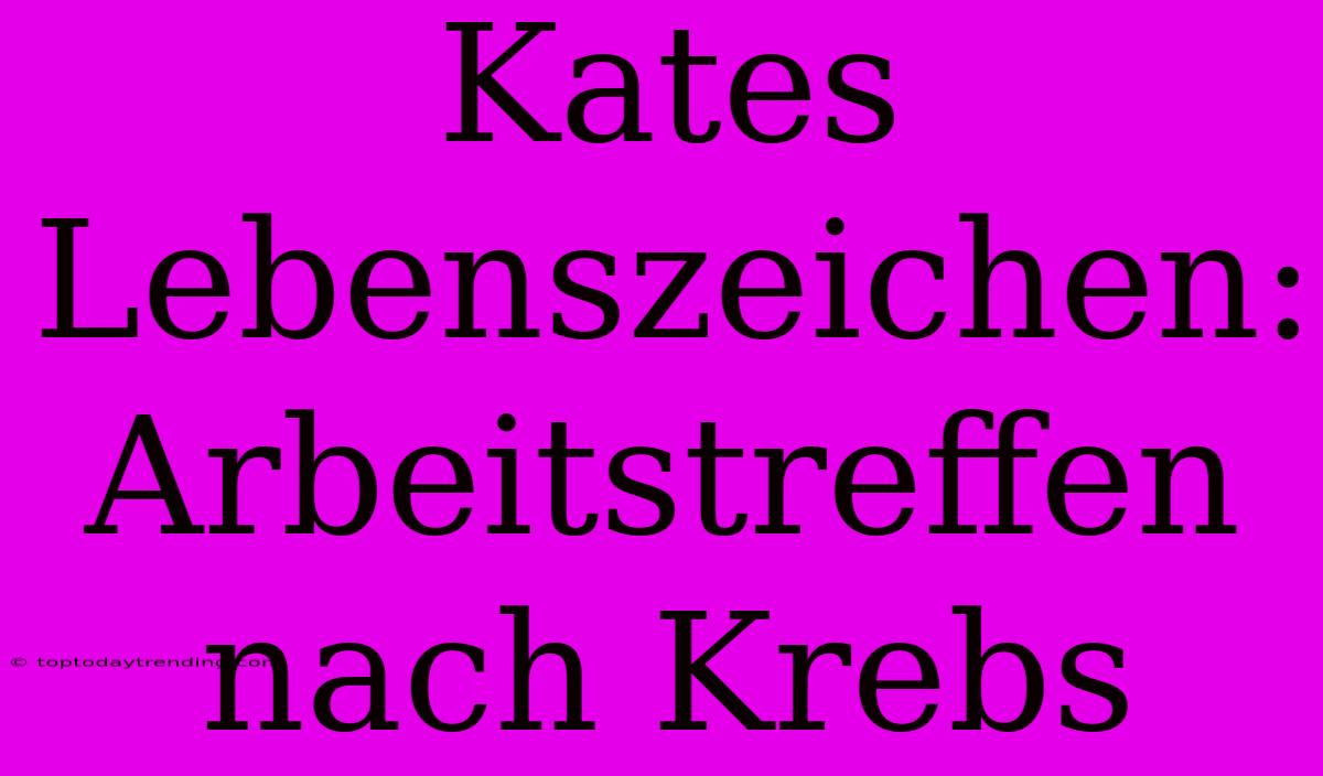 Kates Lebenszeichen: Arbeitstreffen Nach Krebs