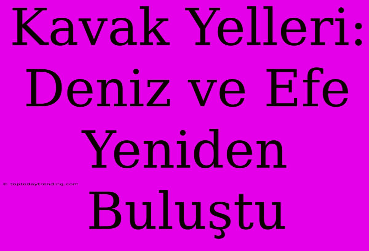 Kavak Yelleri: Deniz Ve Efe Yeniden Buluştu