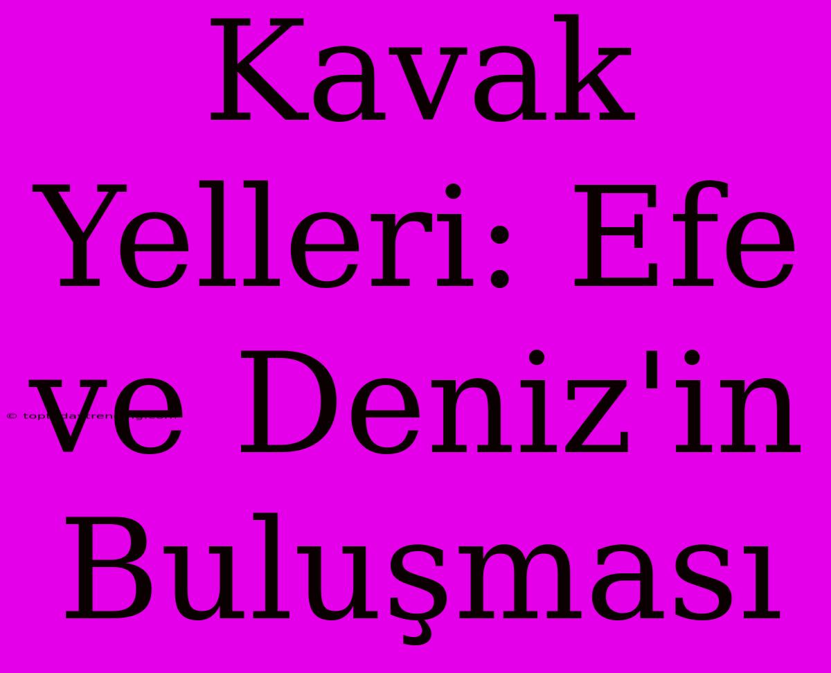 Kavak Yelleri: Efe Ve Deniz'in Buluşması