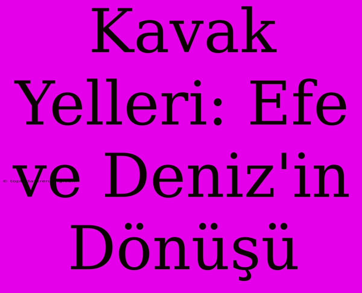 Kavak Yelleri: Efe Ve Deniz'in Dönüşü