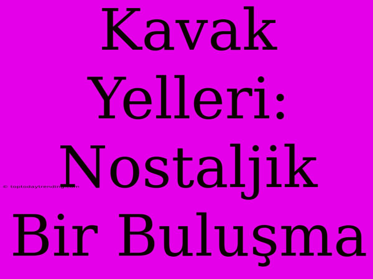 Kavak Yelleri: Nostaljik Bir Buluşma