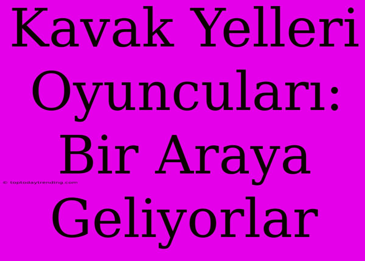 Kavak Yelleri Oyuncuları: Bir Araya Geliyorlar