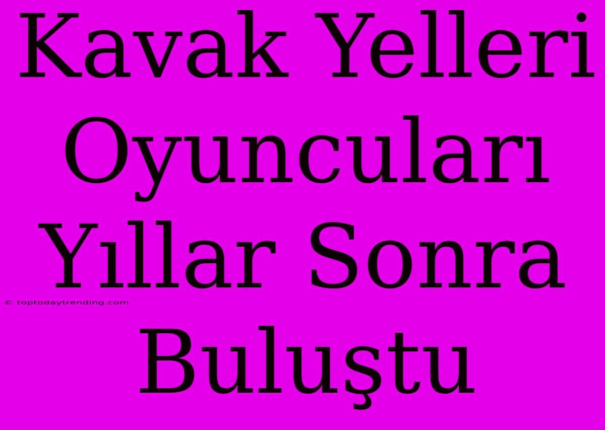 Kavak Yelleri Oyuncuları Yıllar Sonra Buluştu