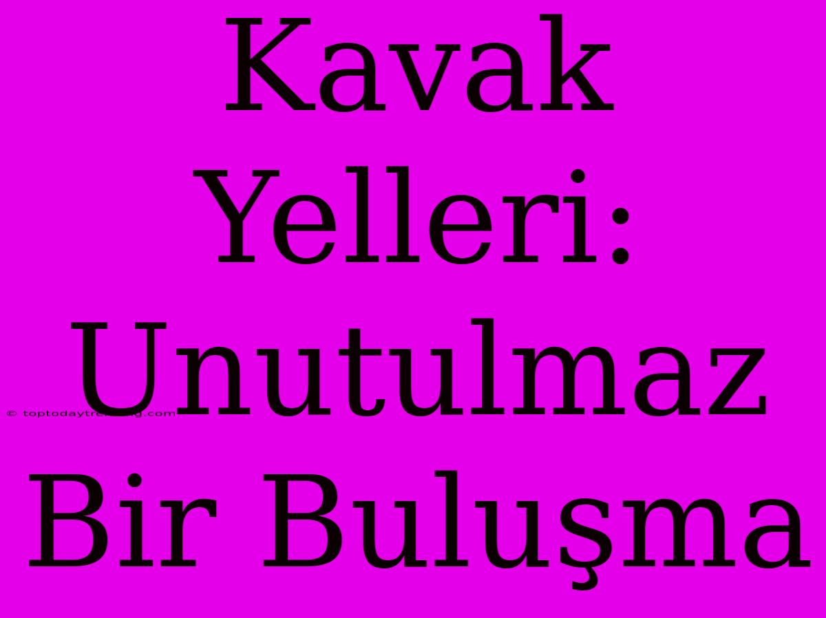 Kavak Yelleri: Unutulmaz Bir Buluşma