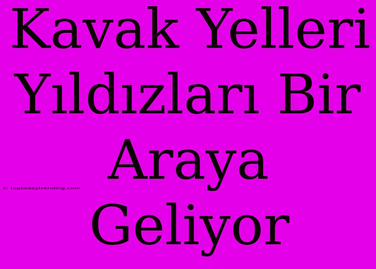 Kavak Yelleri Yıldızları Bir Araya Geliyor