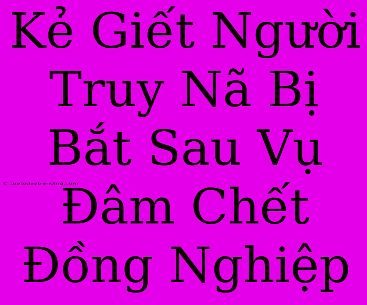 Kẻ Giết Người Truy Nã Bị Bắt Sau Vụ Đâm Chết Đồng Nghiệp