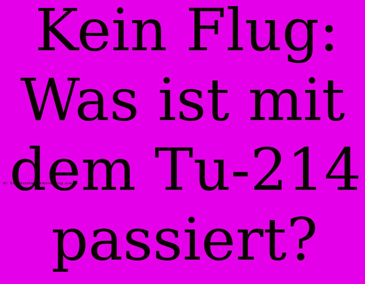 Kein Flug: Was Ist Mit Dem Tu-214 Passiert?