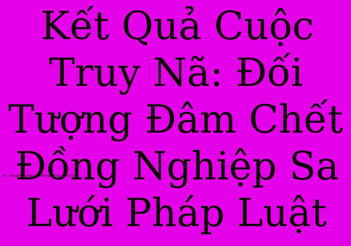 Kết Quả Cuộc Truy Nã: Đối Tượng Đâm Chết Đồng Nghiệp Sa Lưới Pháp Luật