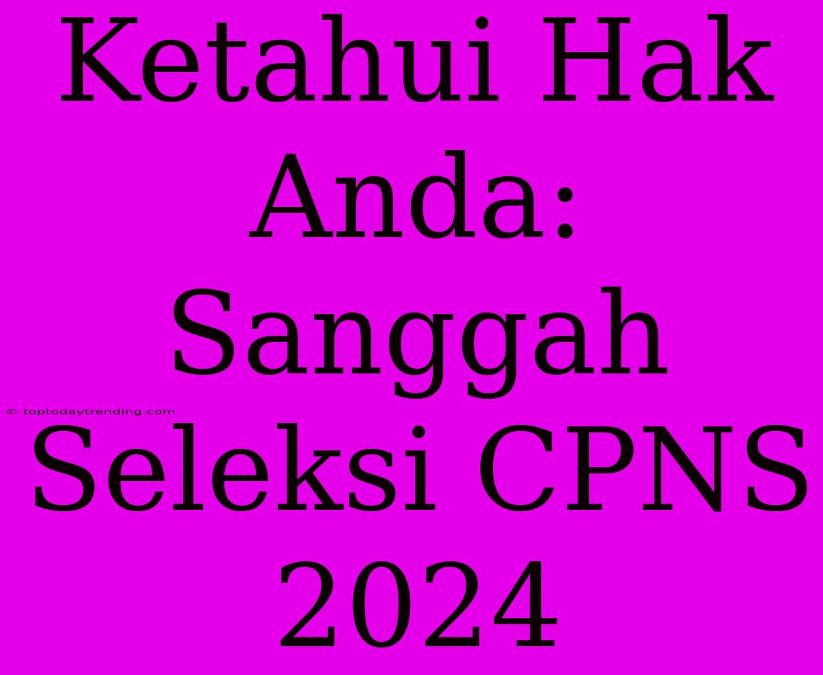 Ketahui Hak Anda: Sanggah Seleksi CPNS 2024