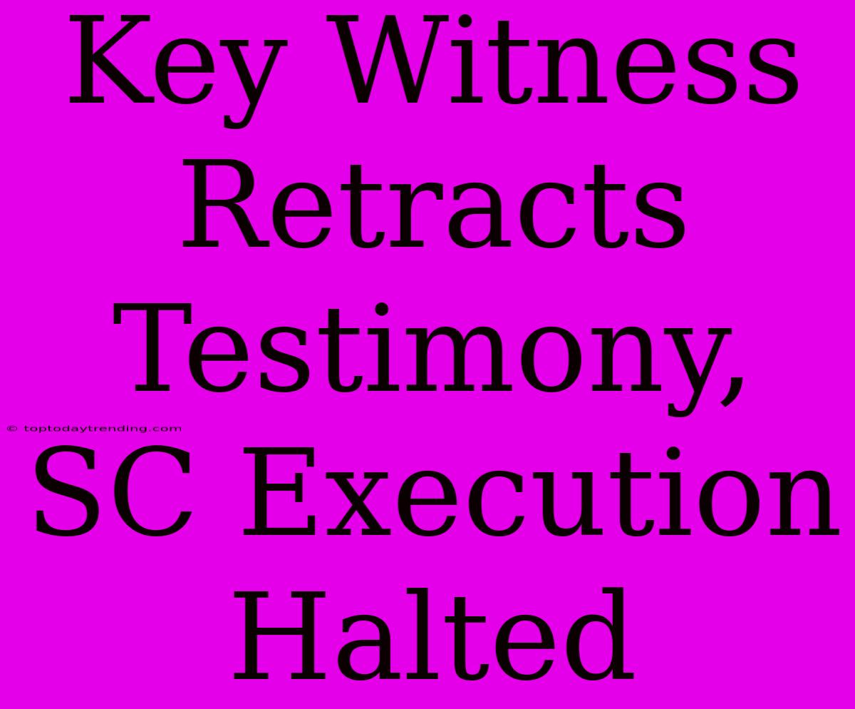 Key Witness Retracts Testimony, SC Execution Halted