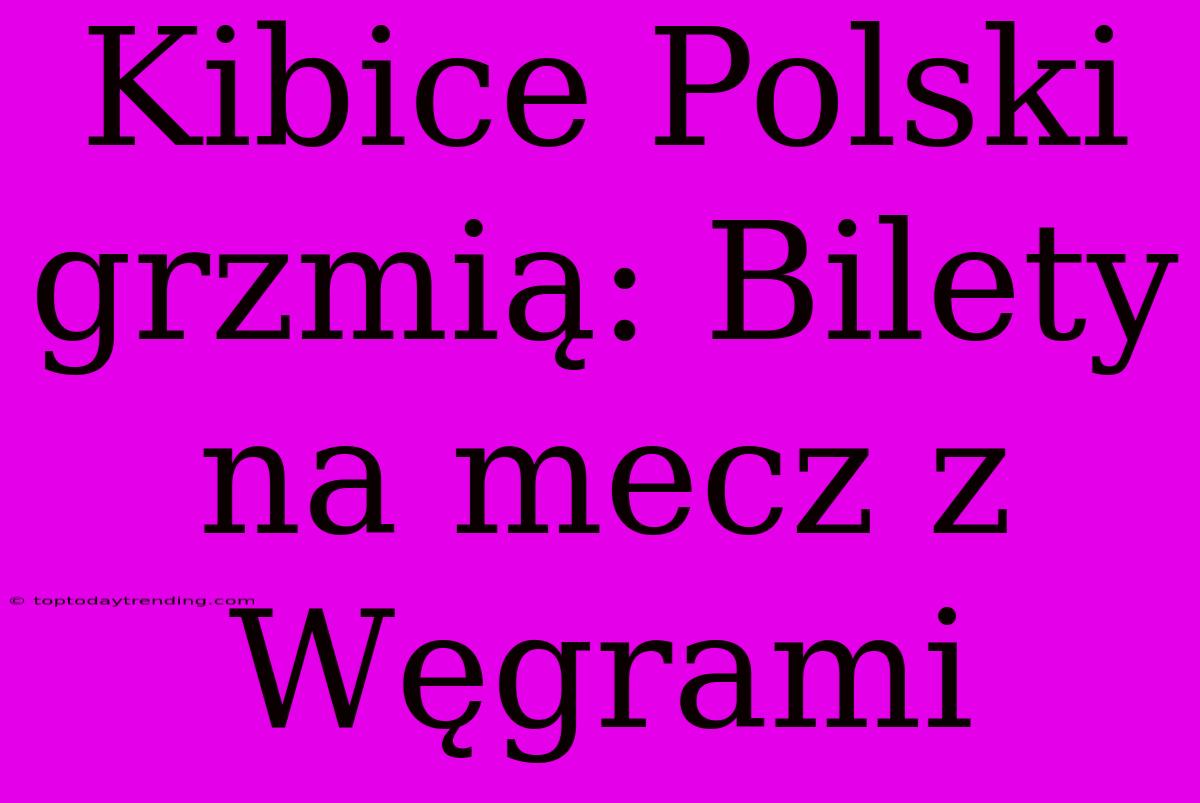 Kibice Polski Grzmią: Bilety Na Mecz Z Węgrami