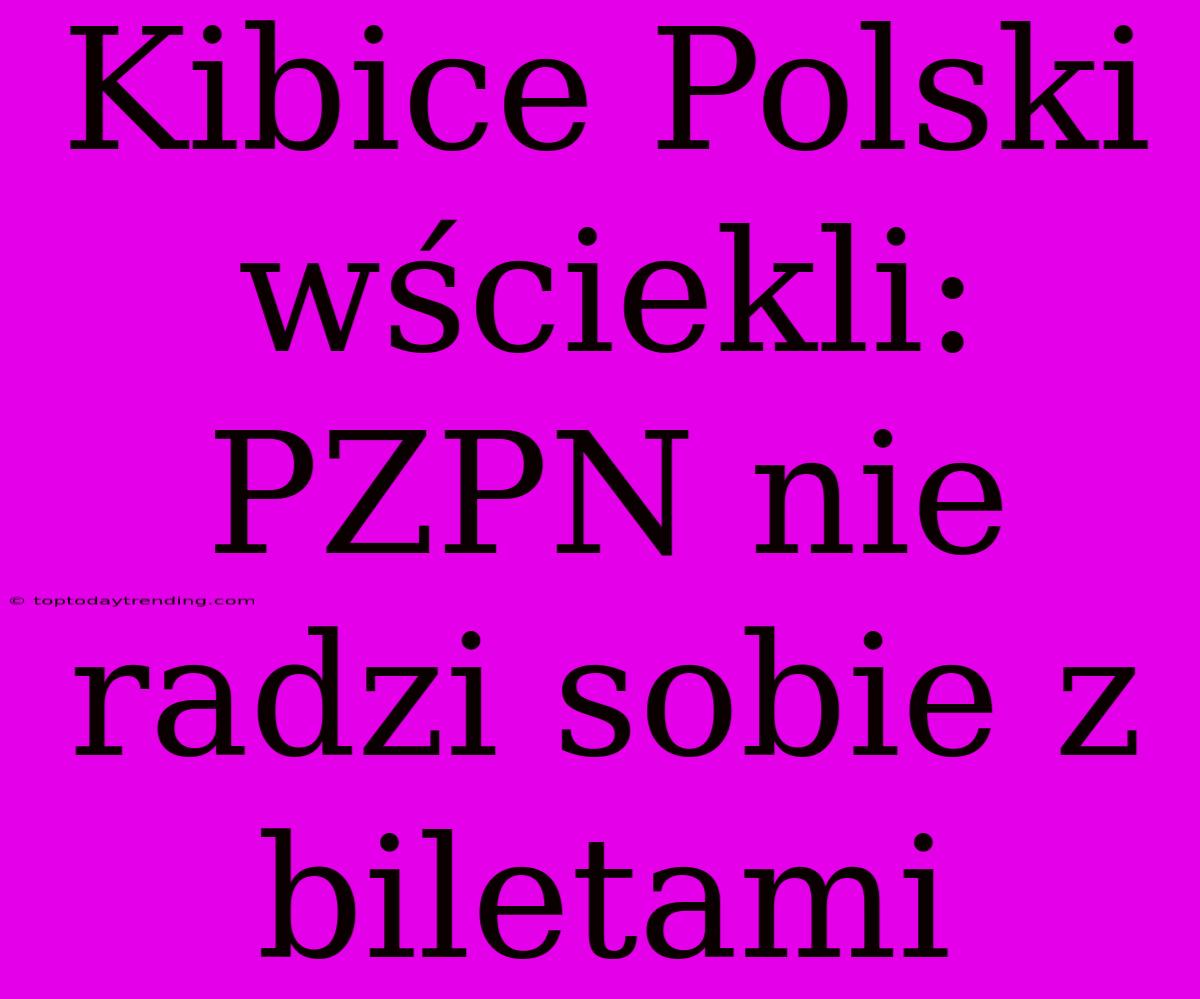 Kibice Polski Wściekli: PZPN Nie Radzi Sobie Z Biletami