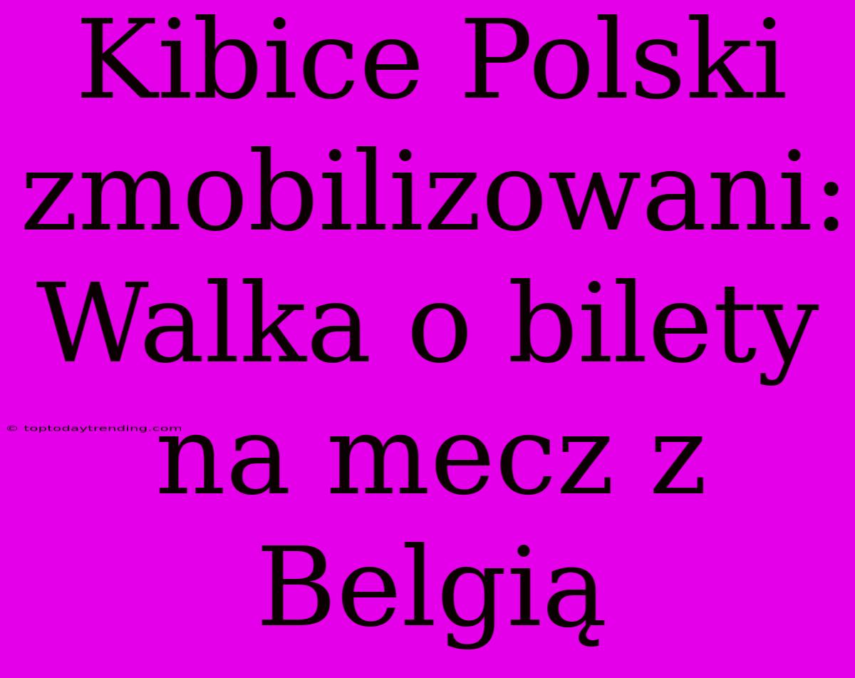 Kibice Polski Zmobilizowani: Walka O Bilety Na Mecz Z Belgią