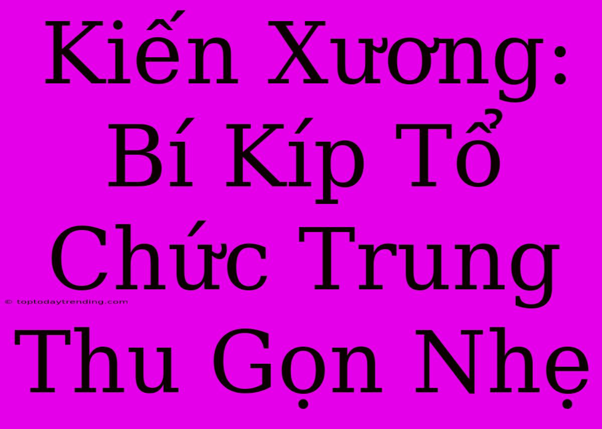 Kiến Xương: Bí Kíp Tổ Chức Trung Thu Gọn Nhẹ