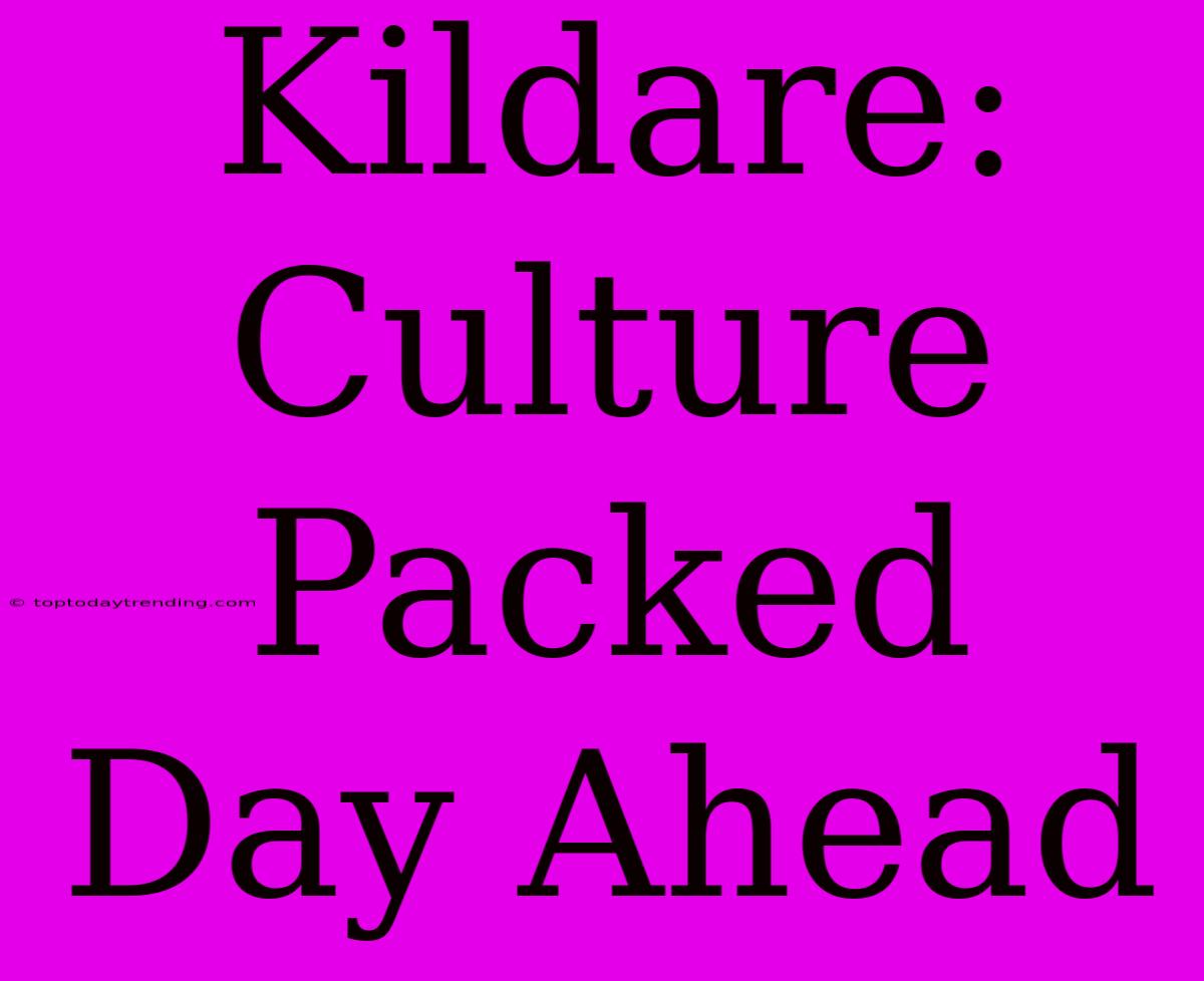 Kildare: Culture Packed Day Ahead