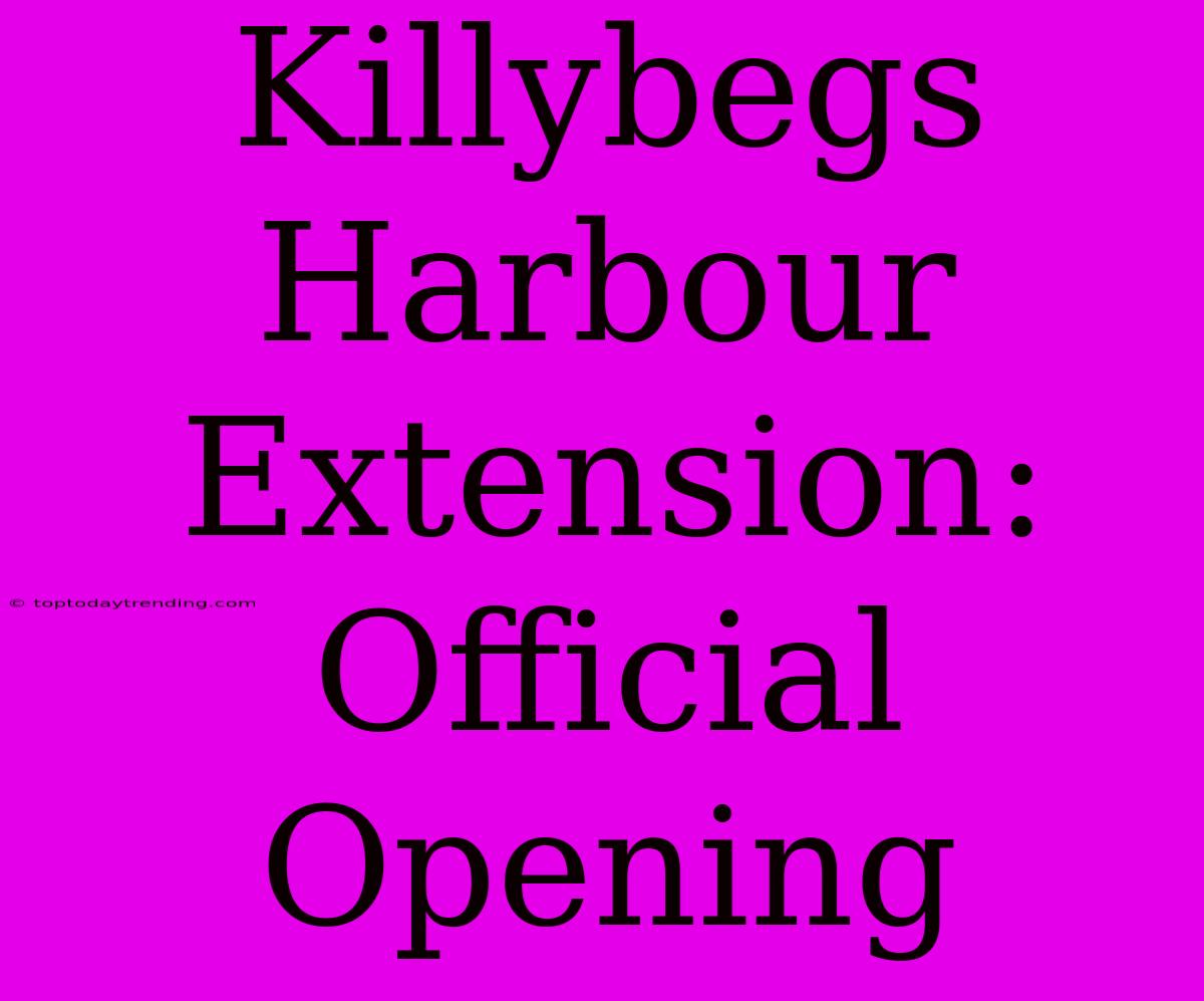 Killybegs Harbour Extension: Official Opening