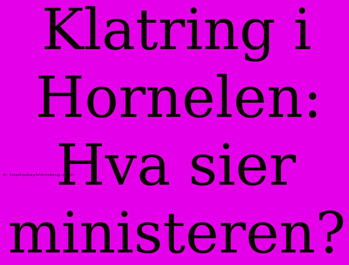 Klatring I Hornelen: Hva Sier Ministeren?