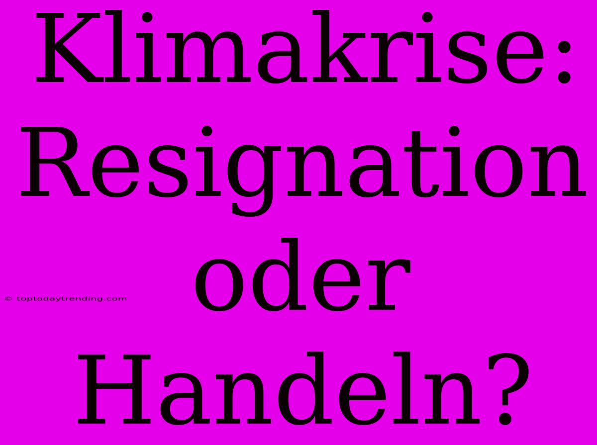 Klimakrise: Resignation Oder Handeln?