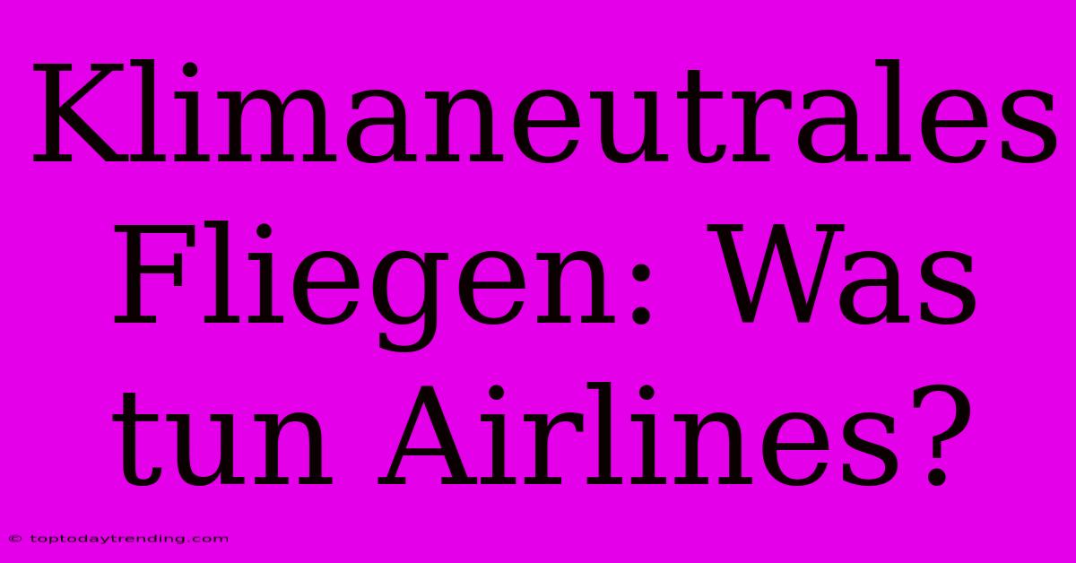 Klimaneutrales Fliegen: Was Tun Airlines?