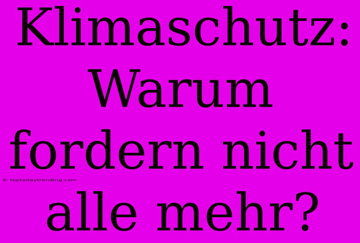 Klimaschutz: Warum Fordern Nicht Alle Mehr?