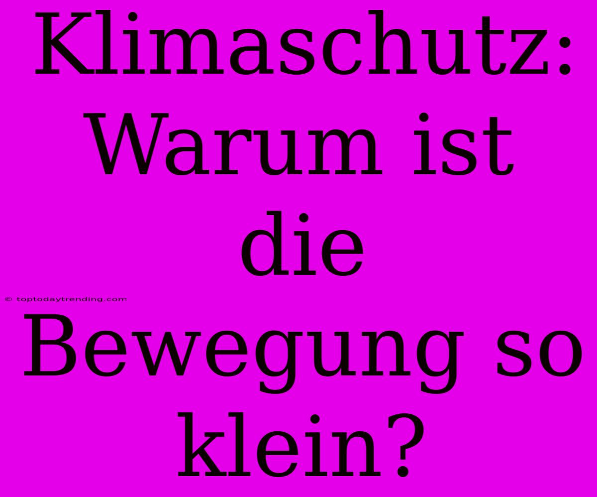 Klimaschutz: Warum Ist Die Bewegung So Klein?