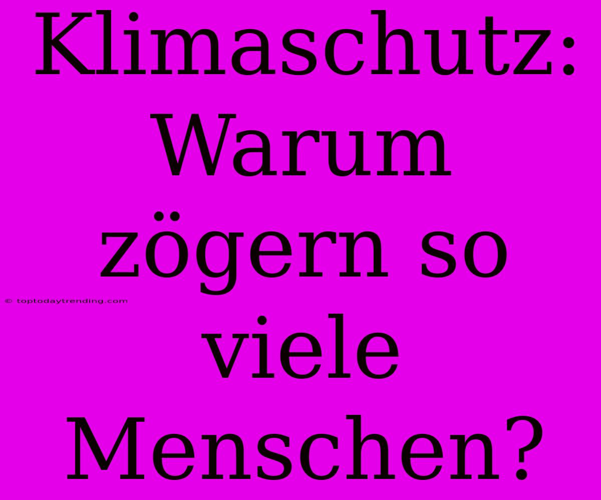 Klimaschutz: Warum Zögern So Viele Menschen?