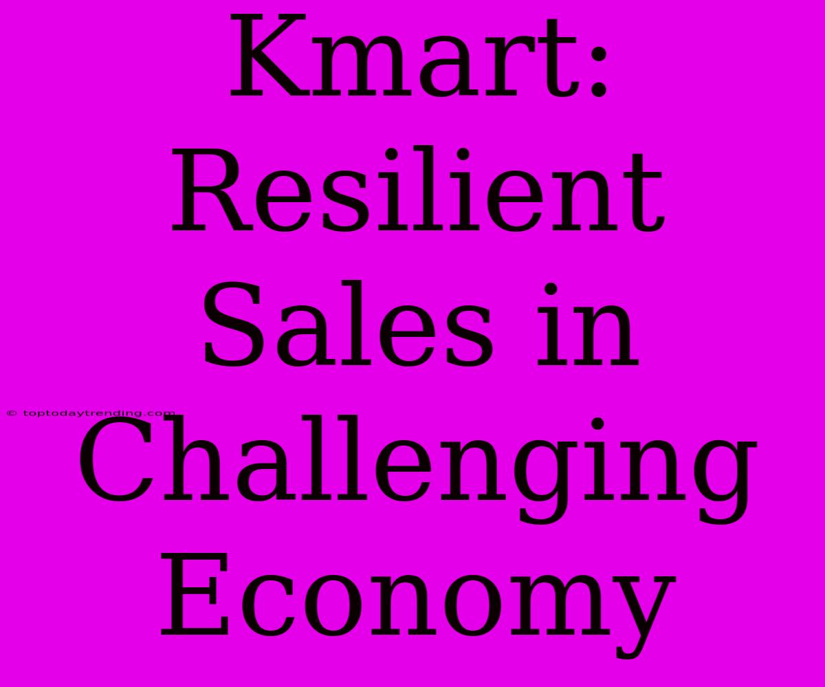 Kmart: Resilient Sales In Challenging Economy