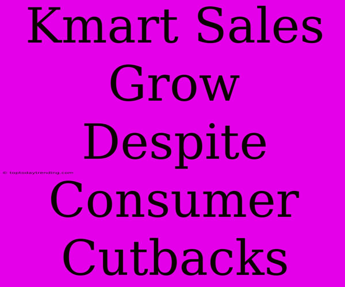 Kmart Sales Grow Despite Consumer Cutbacks