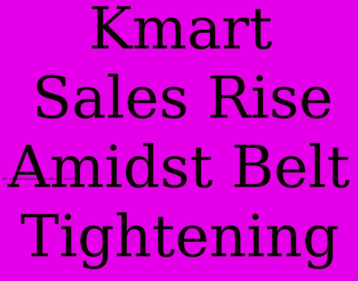 Kmart Sales Rise Amidst Belt Tightening