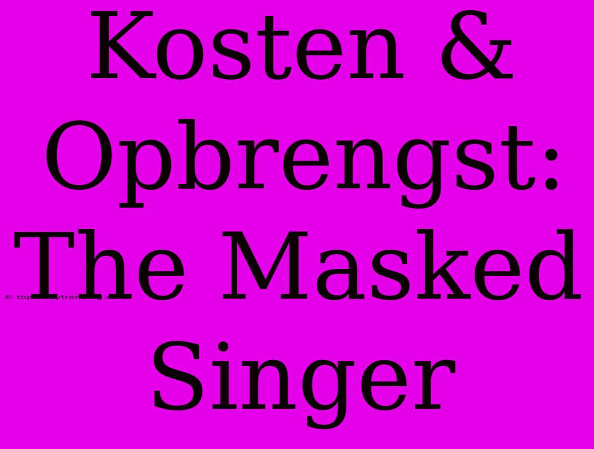 Kosten & Opbrengst: The Masked Singer