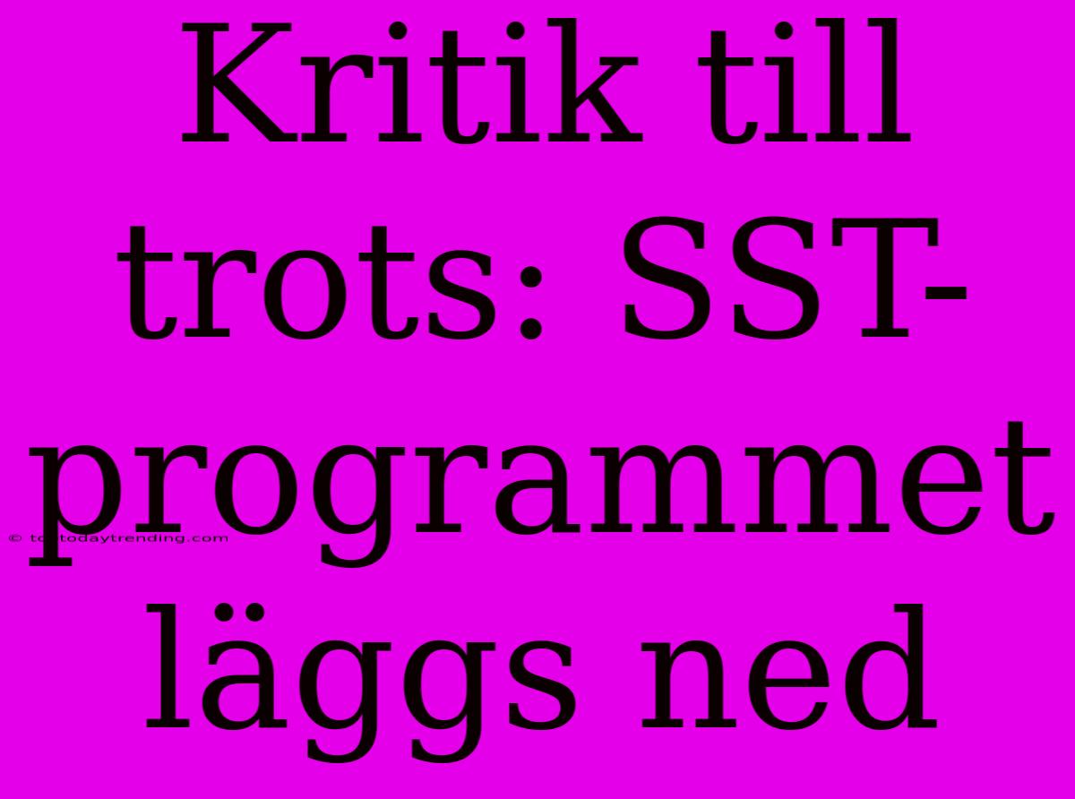 Kritik Till Trots: SST-programmet Läggs Ned