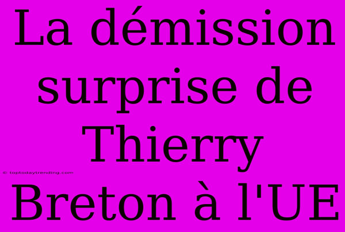 La Démission Surprise De Thierry Breton À L'UE