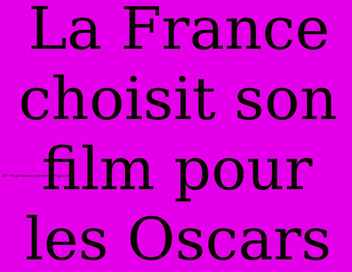 La France Choisit Son Film Pour Les Oscars