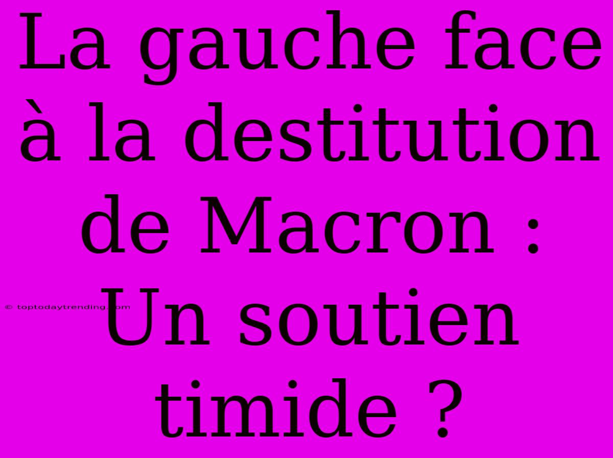 La Gauche Face À La Destitution De Macron : Un Soutien Timide ?