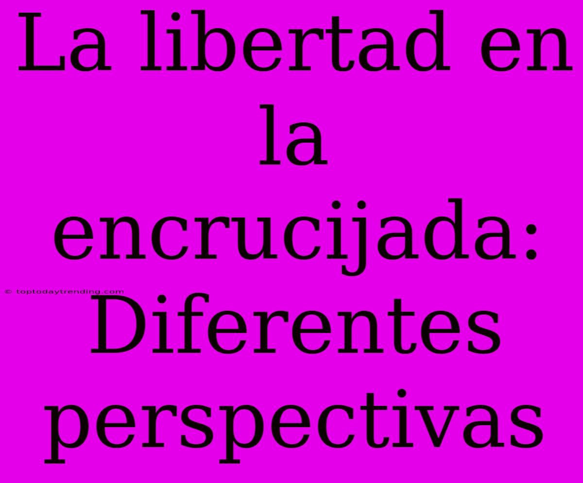 La Libertad En La Encrucijada: Diferentes Perspectivas