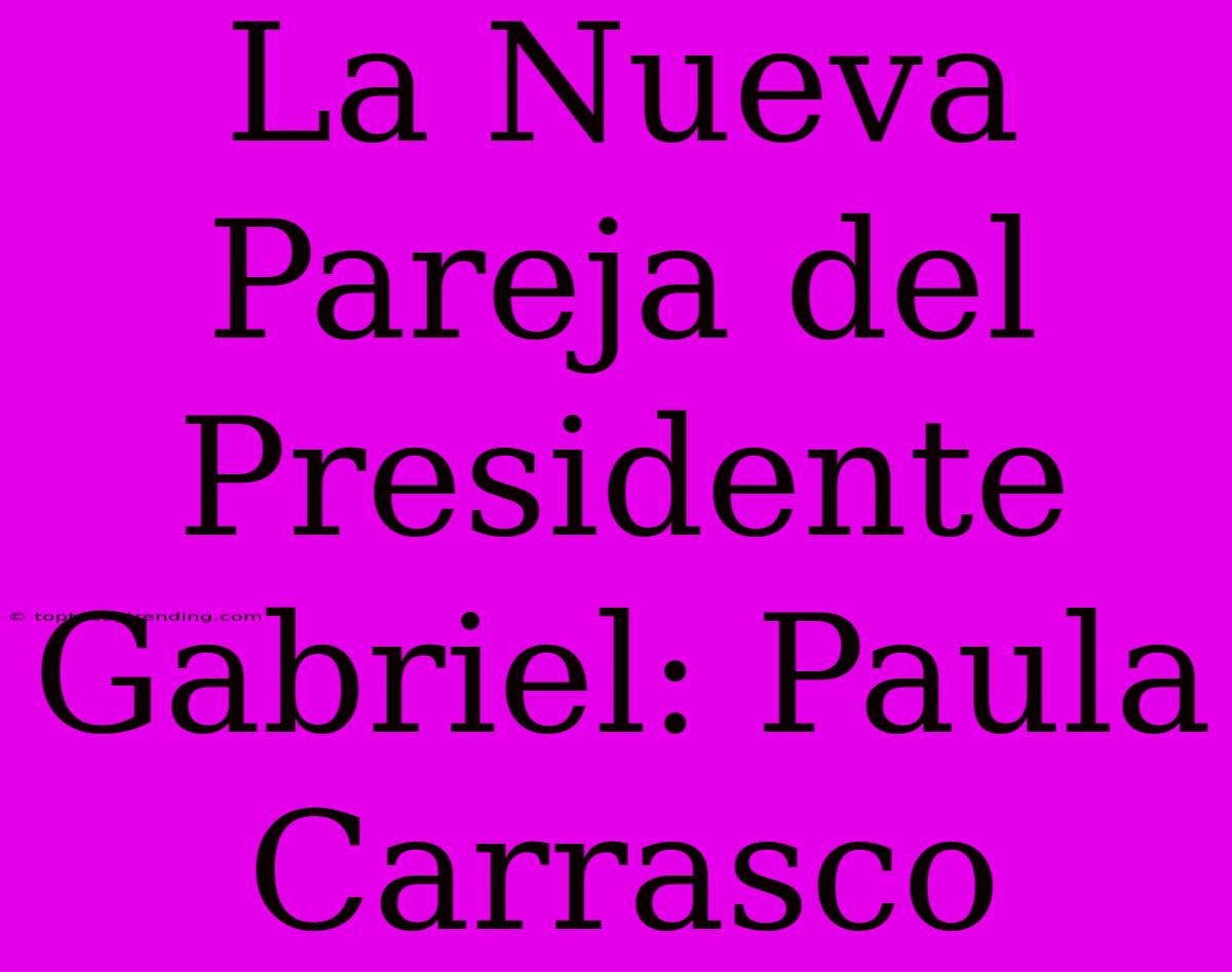 La Nueva Pareja Del Presidente Gabriel: Paula Carrasco