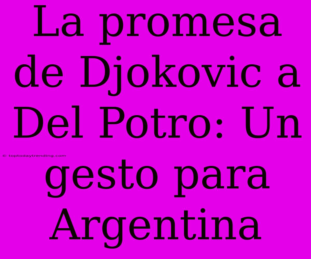 La Promesa De Djokovic A Del Potro: Un Gesto Para Argentina