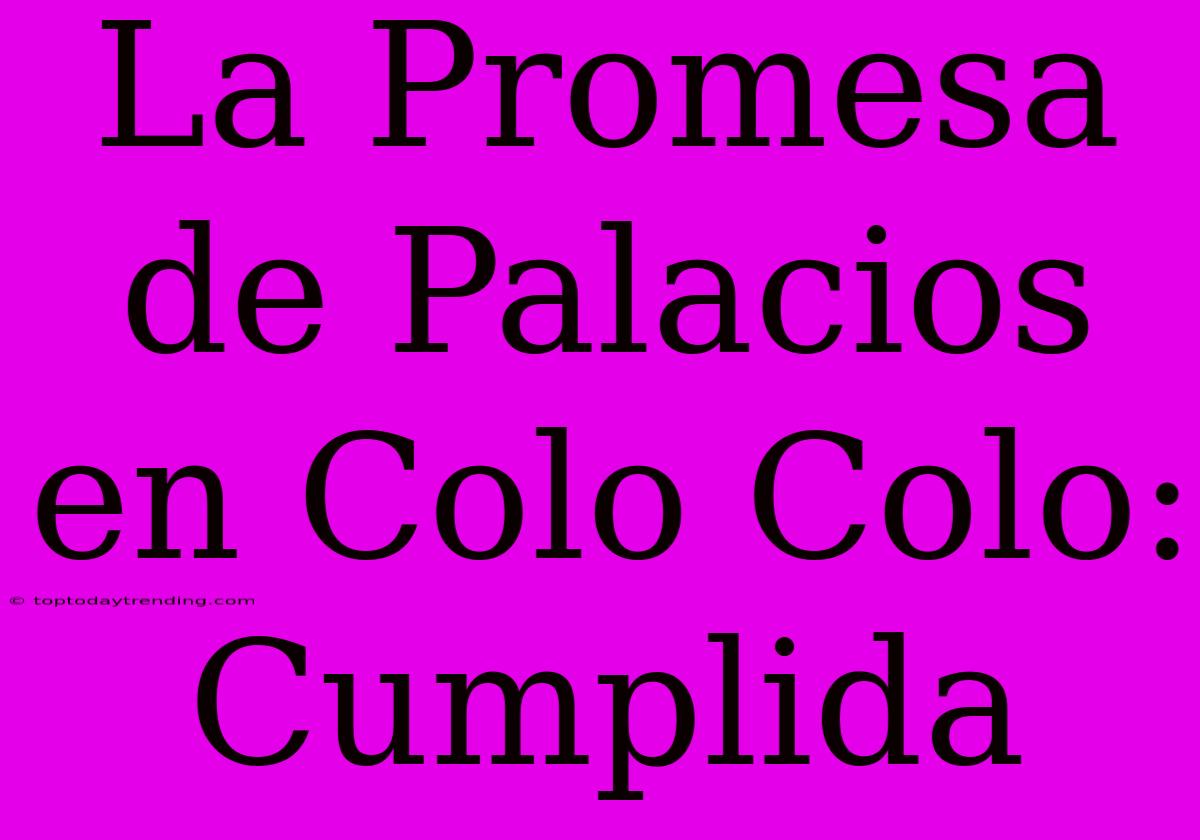 La Promesa De Palacios En Colo Colo: Cumplida