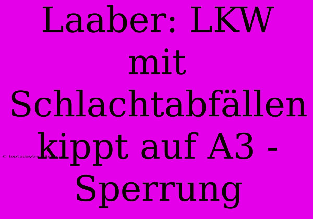 Laaber: LKW Mit Schlachtabfällen Kippt Auf A3 - Sperrung