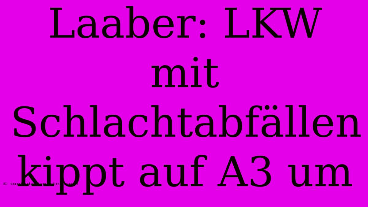 Laaber: LKW Mit Schlachtabfällen Kippt Auf A3 Um