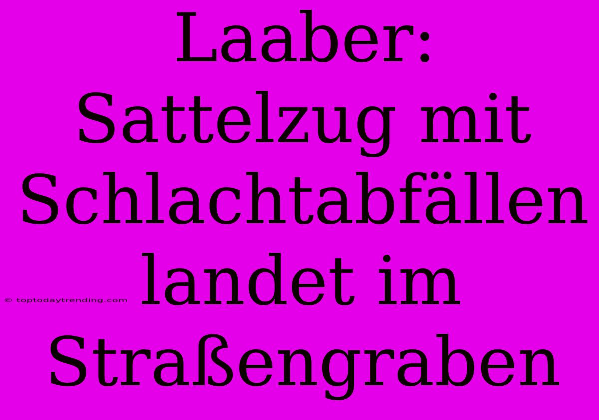 Laaber: Sattelzug Mit Schlachtabfällen Landet Im Straßengraben